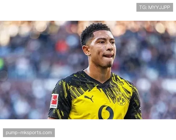 德甲夏窗回顾：转会潮涌动，各队战略布局引关注